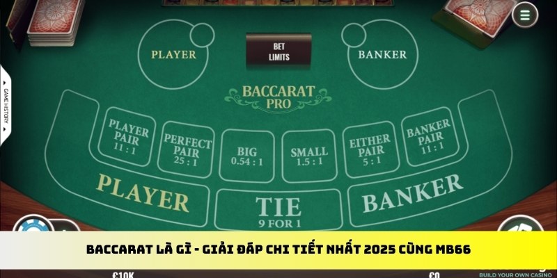 w88hn gà chọi cu cần