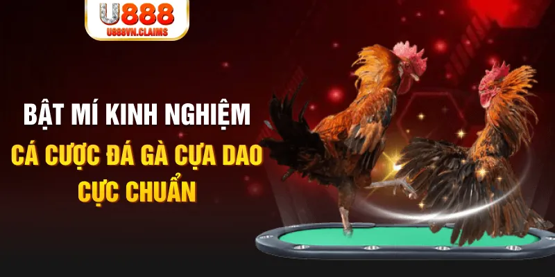 w88hn tỷ lệ cá cược châu á là gì