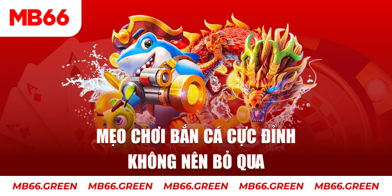 w88hn xổ số miền bắc