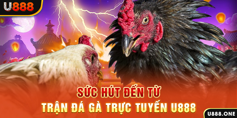 w88hn nổ hũ b29 là gì