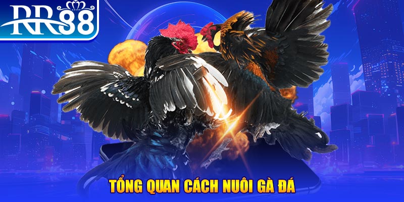 w88hn VA Điện Tử