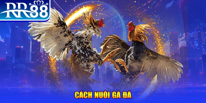 w88hn xổ số an giang