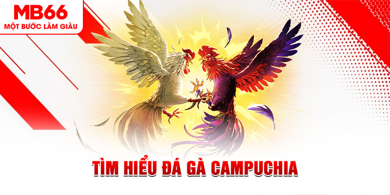 w88hn game đánh bài trên máy tính