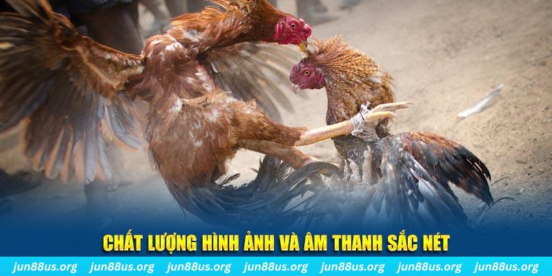 w88hn đăng nhập roulette live