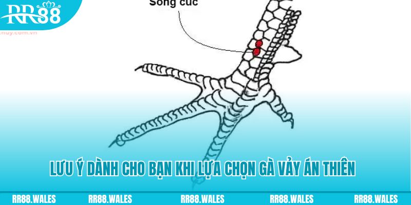 w88hn xổ số đồng nai