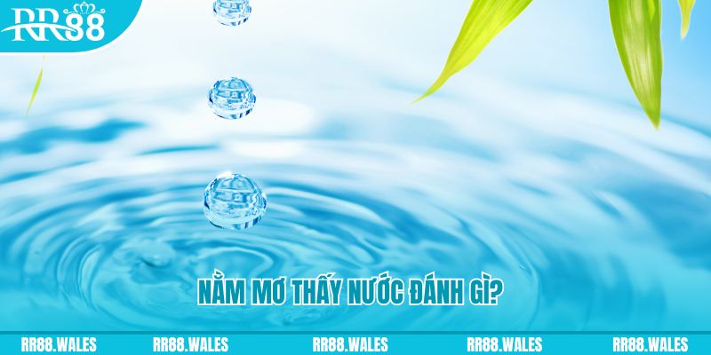 w88hn TP Bắn cá
