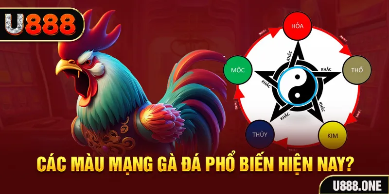 w88hn trực tiếp đá gà 88