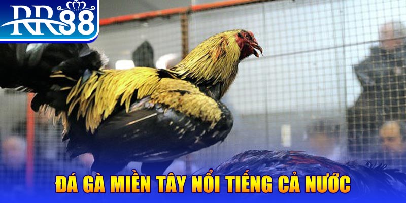 w88hn JILI Game Bài 3d