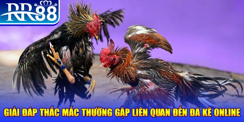 w88hn xổ số đà lạt