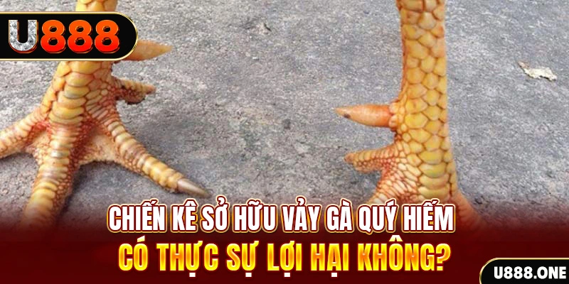 w88hn nohu .mx nổ hủ là gì