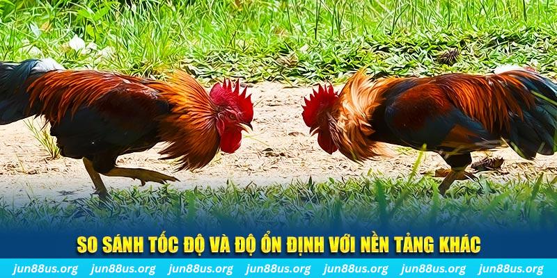 w88hn đá gà hôm nay