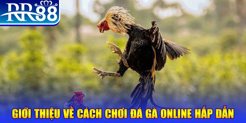 w88hn game nổ hũ rút tiền mặt là gì