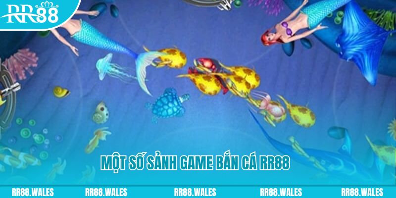 w88hn đăng nhập mậu binh uy tín