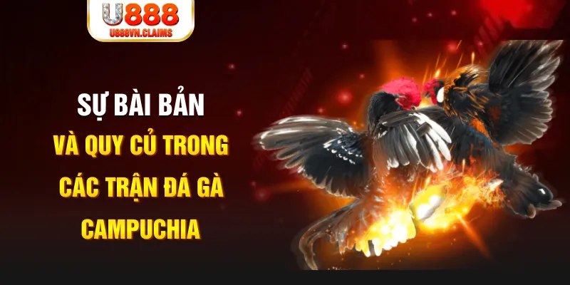 w88hn YGR Điện Tử