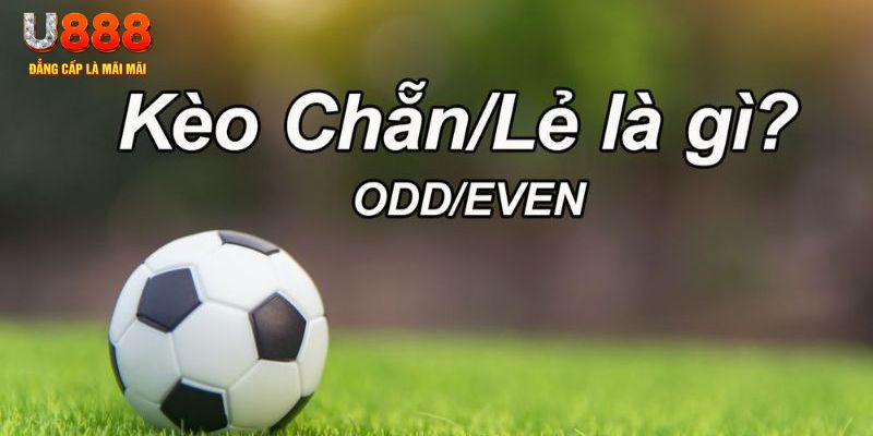 w88hn đăng nhập poker hôm nay
