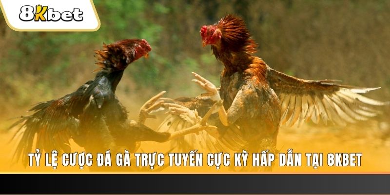 w88hn xổ số trực tiếp miền bắc