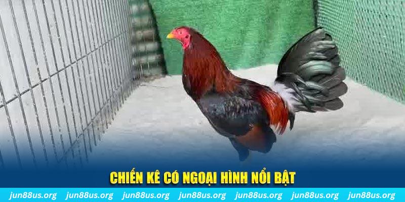 w88hn chạy quảng cáo cho game bài bị phạt như thế nào