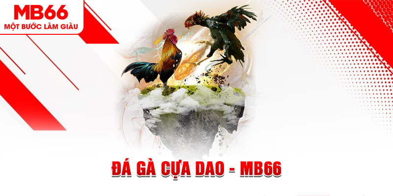 w88hn đá gà sv388 gold