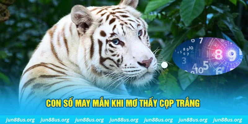 w88hn đá gà trực tiếp 88